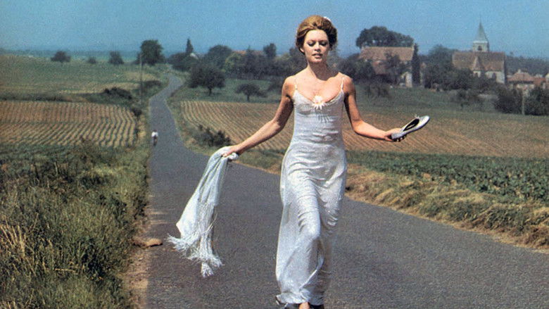 Медведь и кукла