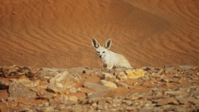 кадр из фильма هورايزن