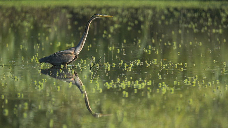 Encontro D'Águas - Segredos da Ria e do Baixo Vouga Lagunar