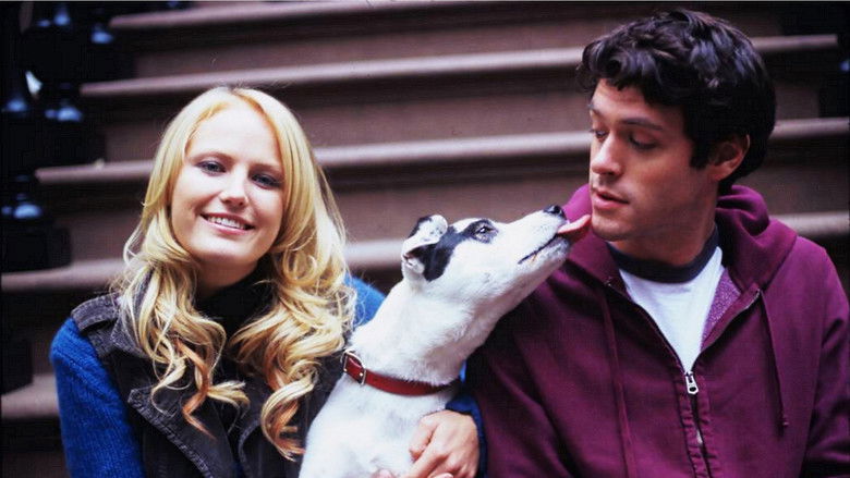 кадр из фильма Собачья любовь