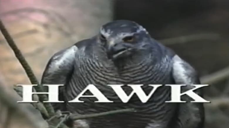 кадр из фильма Predators of the Wild: Hawk