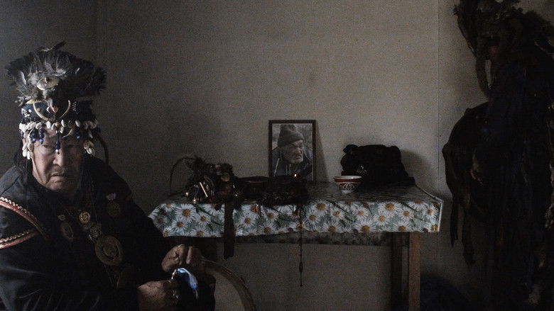 кадр из фильма Стоянка на дороге ветра