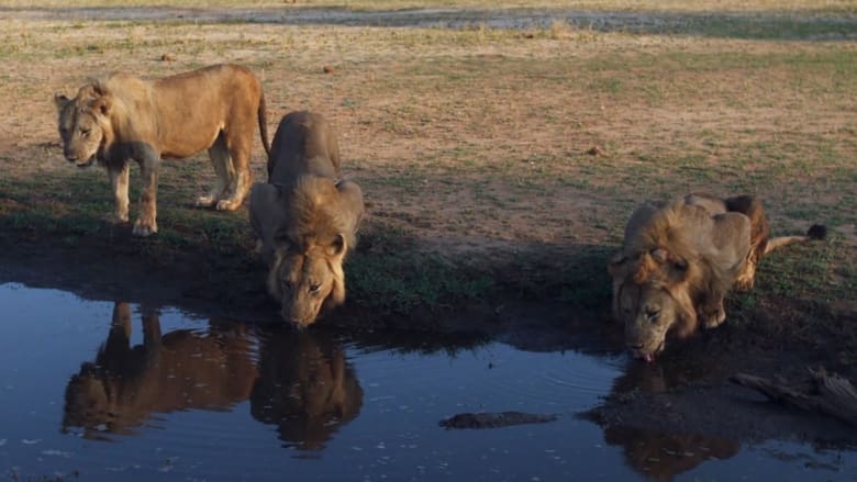 кадр из фильма The Lakeshore Killers