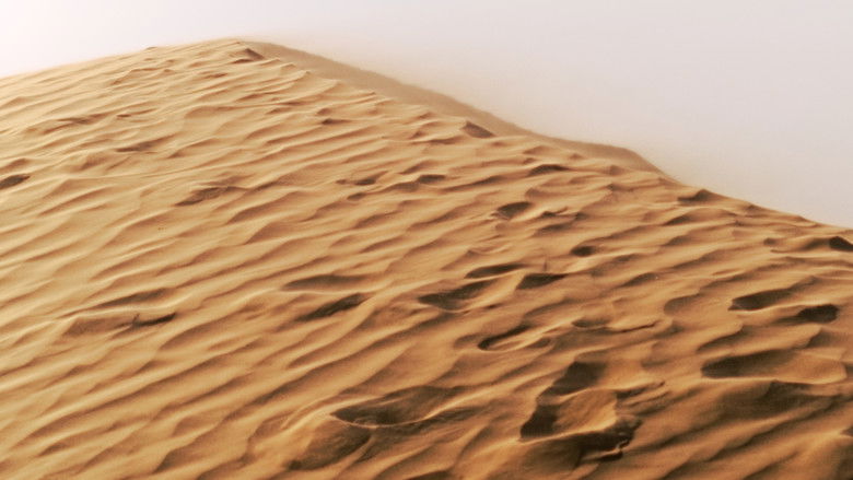 кадр из фильма SADDAM HUSSAINÉ