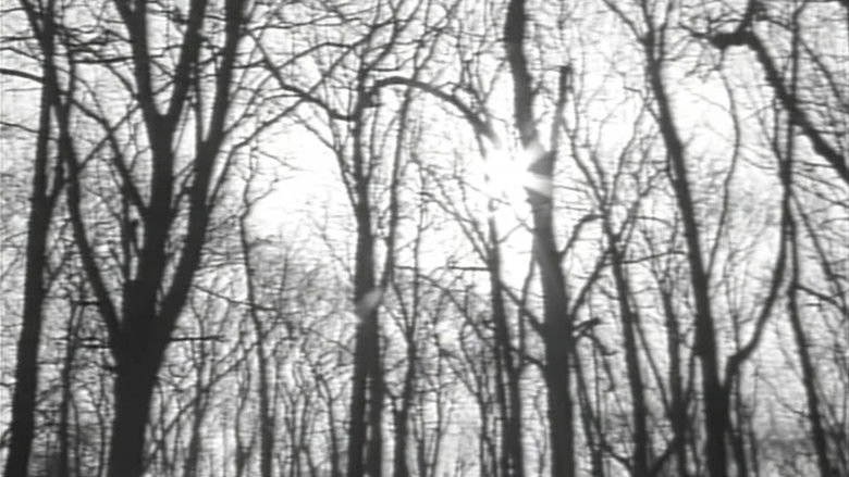 кадр из фильма カイエ