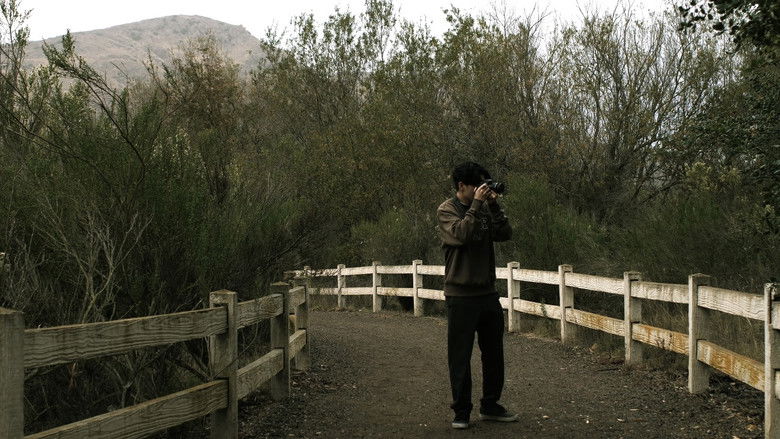 кадр из фильма The Certain Image