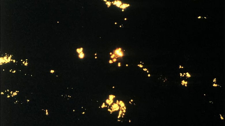 кадр из фильма Kopfüber im Geäst