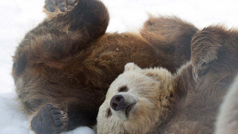 кадр из фильма Winter of the Bear