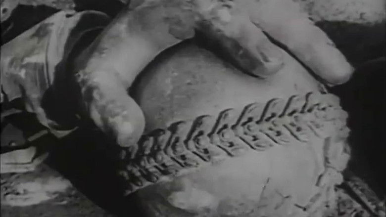 Хроника без сенсаций