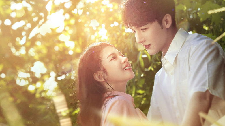 кадр из фильма 我的遗憾和你有关