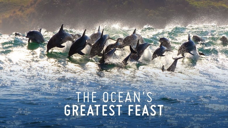 кадр из фильма The Ocean’s Greatest Feast