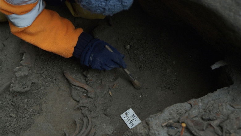 кадр из фильма Mont Saint-Michel : le labyrinthe de l’archange