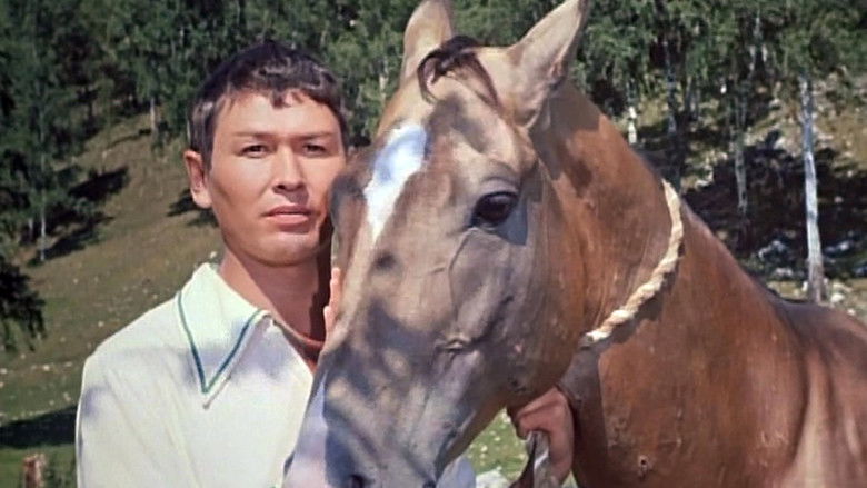 кадр из фильма Всадник на золотом коне