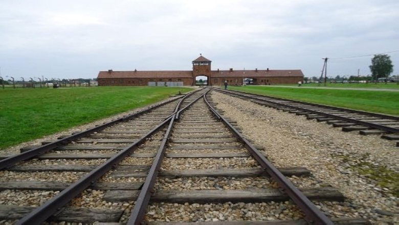 кадр из фильма German Sons