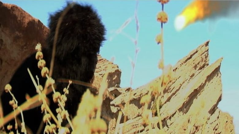 кадр из фильма 90 000 B.C: A Gorilla Odyssey