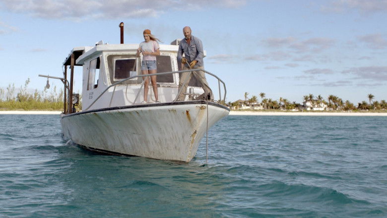 кадр из фильма Dolphin Island