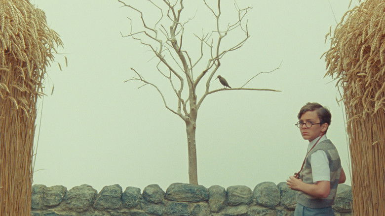 кадр из фильма Лебедь