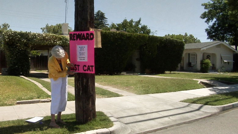 кадр из фильма Missing