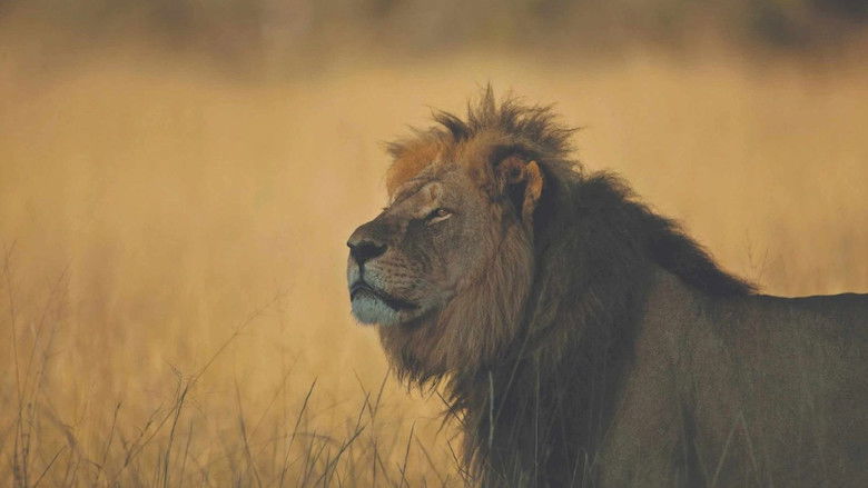 кадр из фильма Cecil