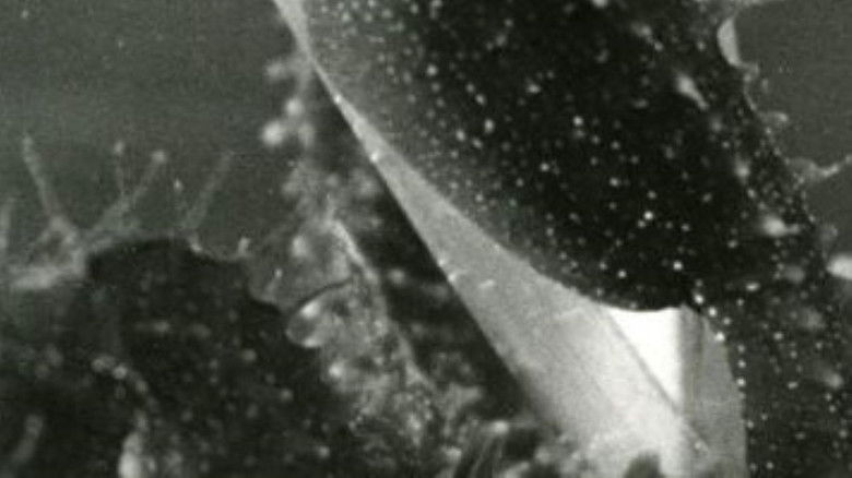 кадр из фильма Étude empirique sur l'influence du son sur la persistance rétinienne