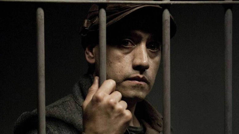 кадр из фильма Roa