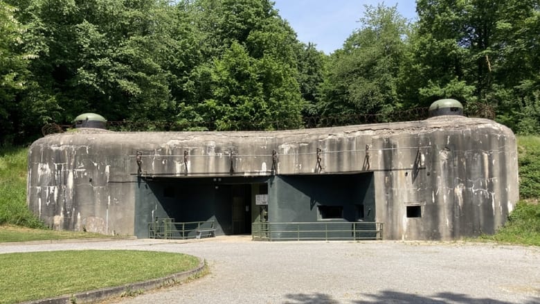 кадр из фильма Les secrets de la ligne Maginot