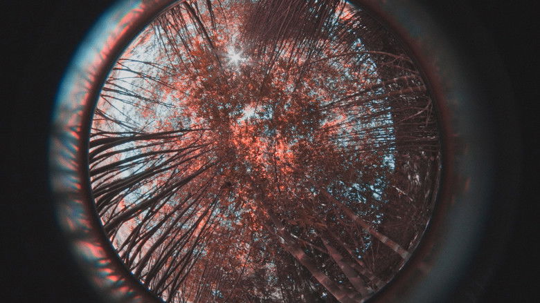 кадр из фильма Una Ceguera Temporal