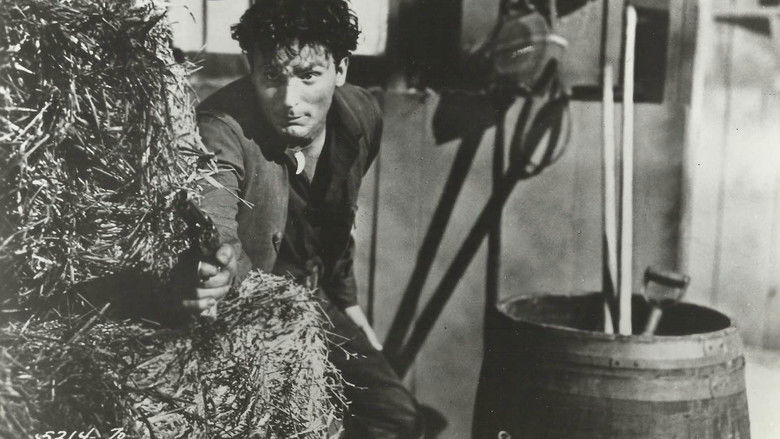 кадр из фильма Son of Belle Starr