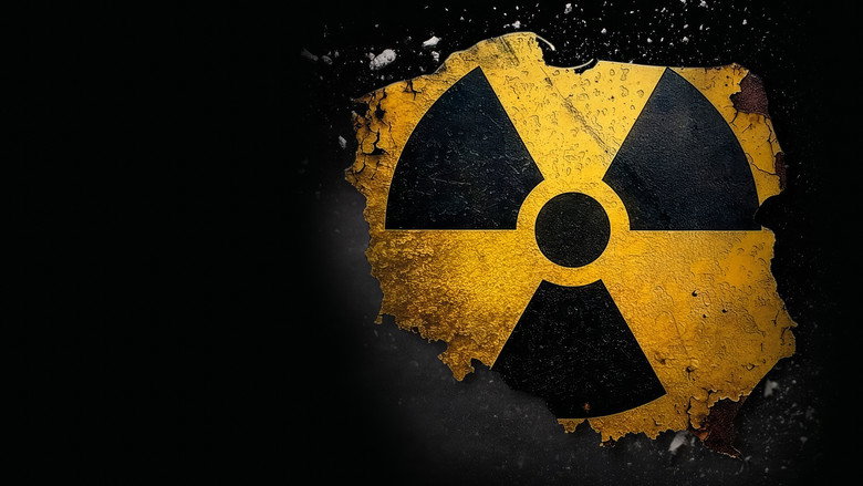Czarnobyl. Polska perspektywa