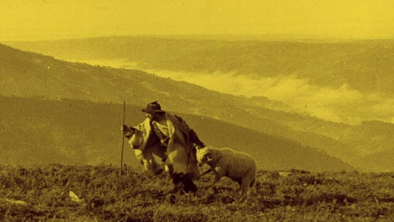 кадр из фильма Os Lobos