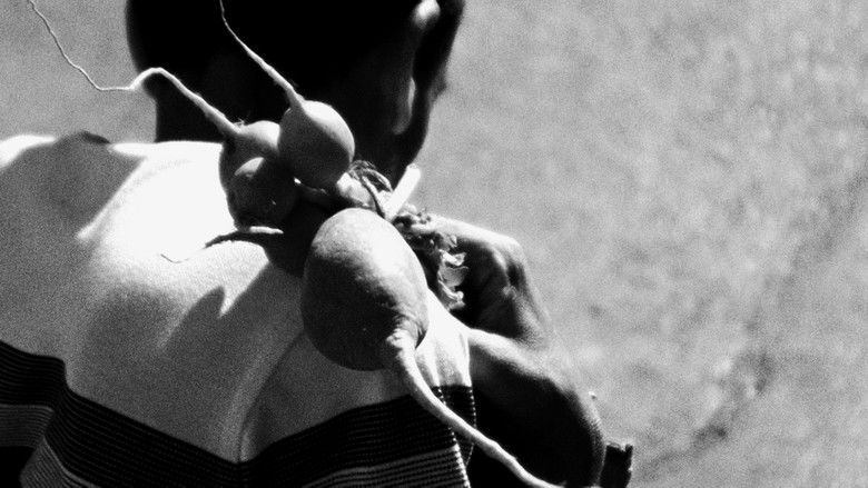 кадр из фильма Find One Who Was Not Born Of Woman That One Is Your Father