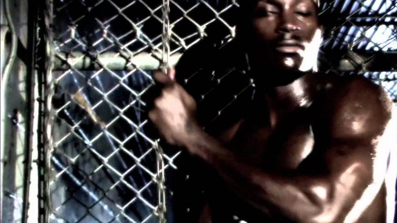 кадр из фильма Vale Tudo Project