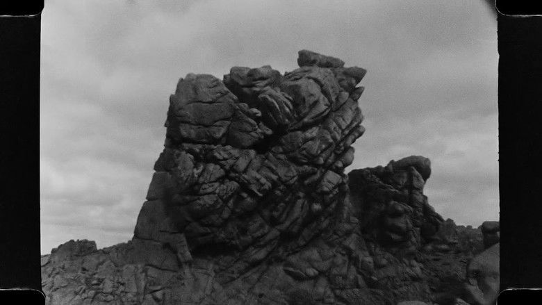 Metamorfosis del viento