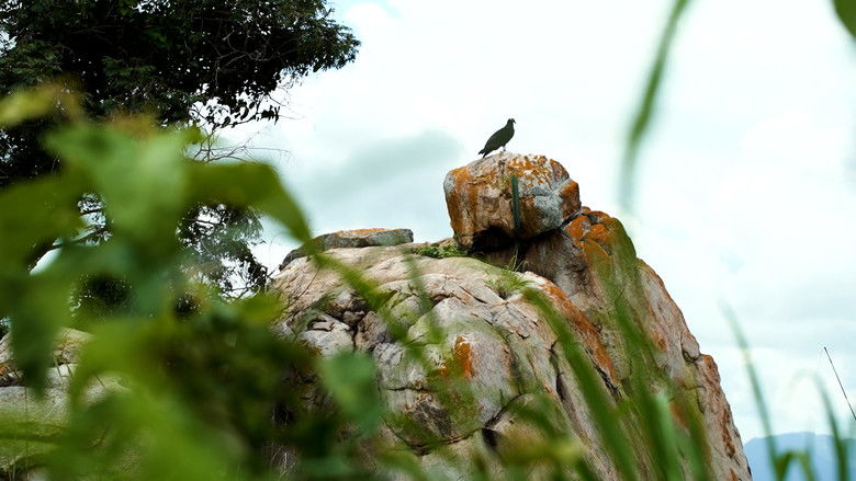 кадр из фильма Filhos do caos