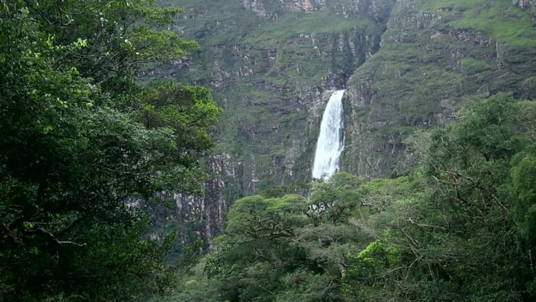 кадр из фильма Os Naturalistas: Saint-Hilaire e a Serra da Canastra