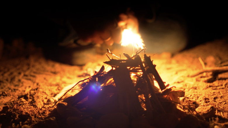 кадр из фильма Mycélium