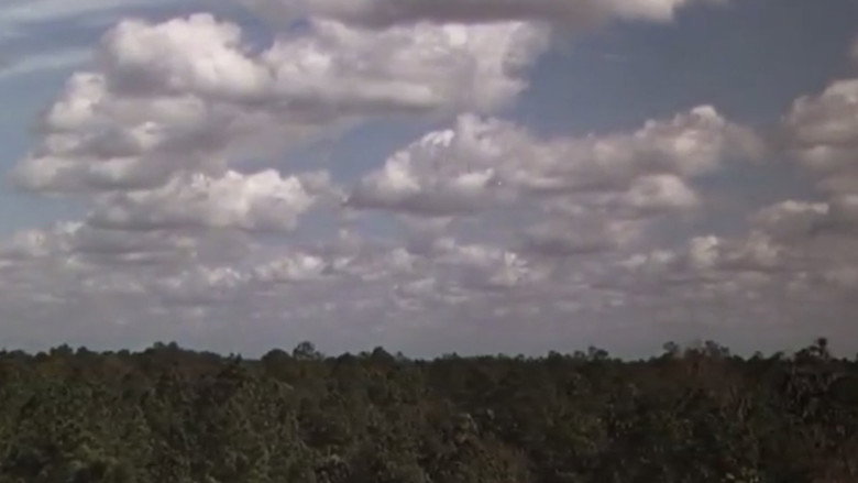 кадр из фильма Оленёнок