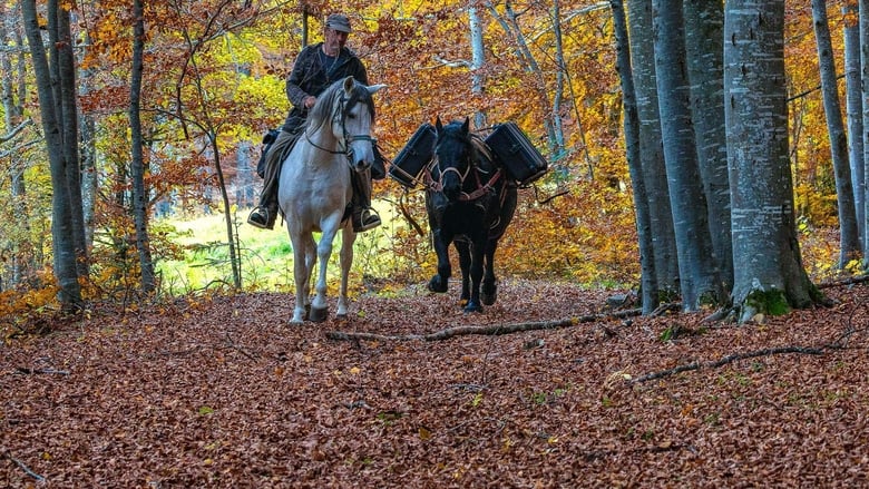 кадр из фильма La vallée des loups