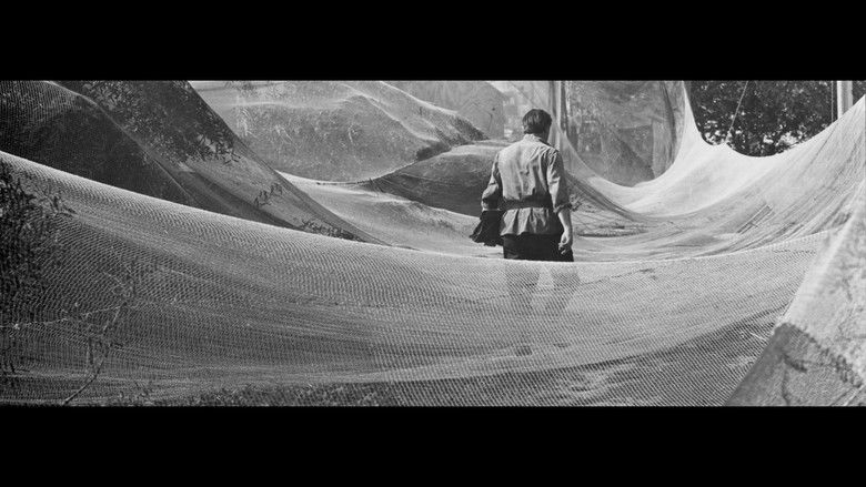 кадр из фильма Июнь, начало лета