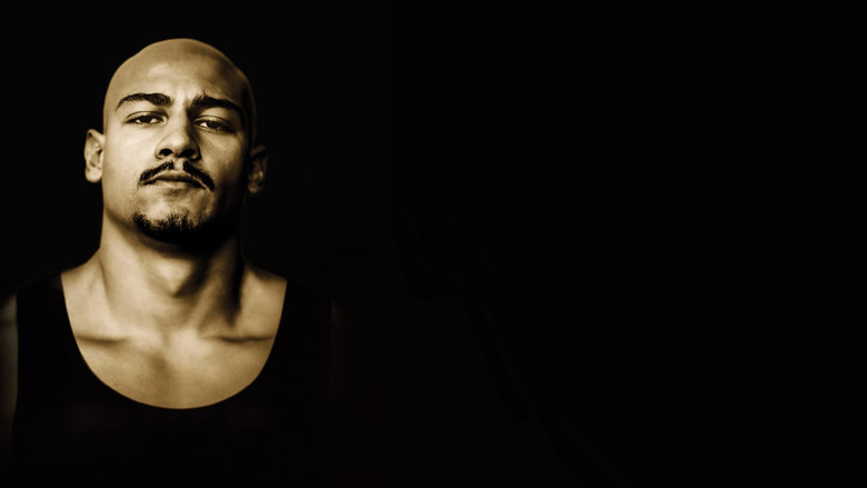 кадр из фильма Золото Рейна