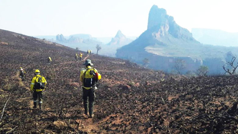 кадр из фильма Cerro Quemado