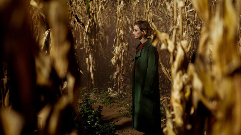 кадр из фильма Man viskas gerai