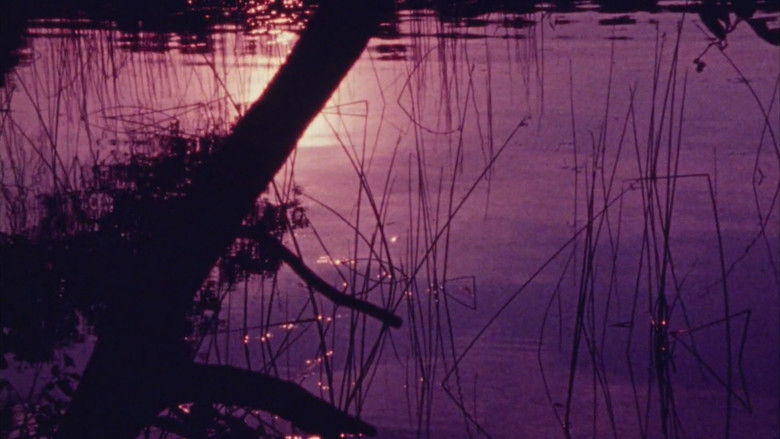 кадр из фильма Isolation