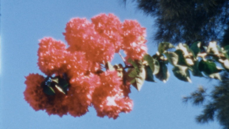 кадр из фильма Menta y canela