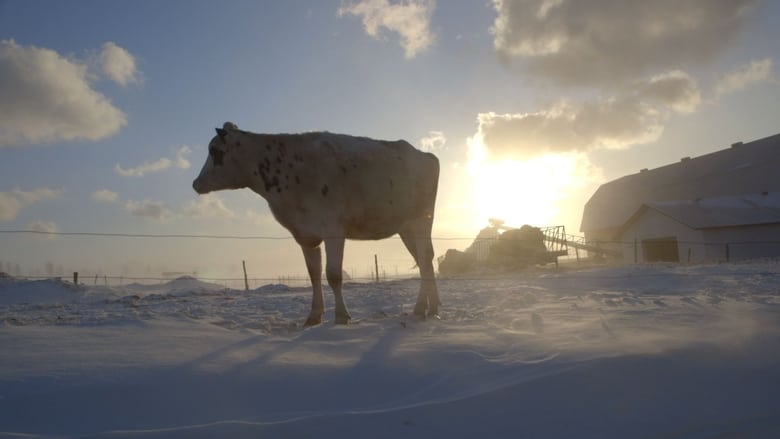 кадр из фильма Le plancher des vaches