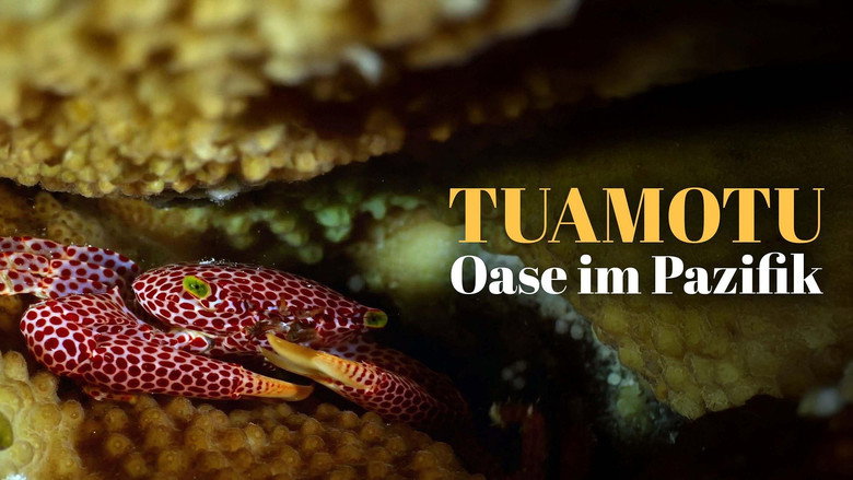 кадр из фильма L'oasis de corail des Tuamotu