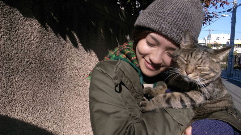 кадр из фильма 私は猫ストーカー