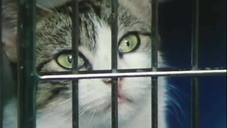 кадр из фильма Parting Shots from Animals