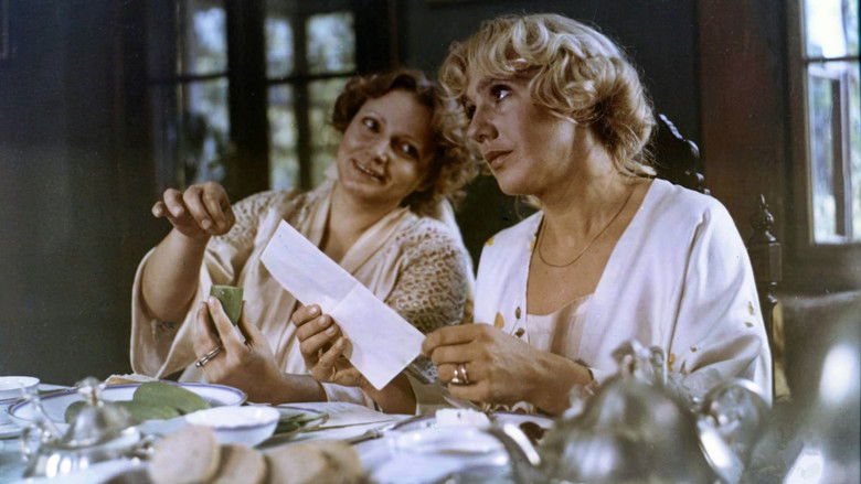 кадр из фильма Барышни из Вилько