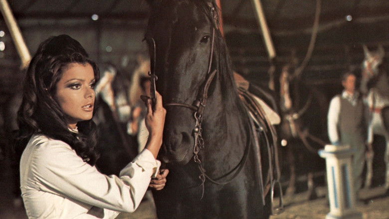 кадр из фильма Чёрный Красавчик